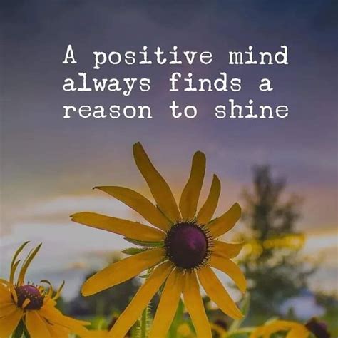 A reason to shine .